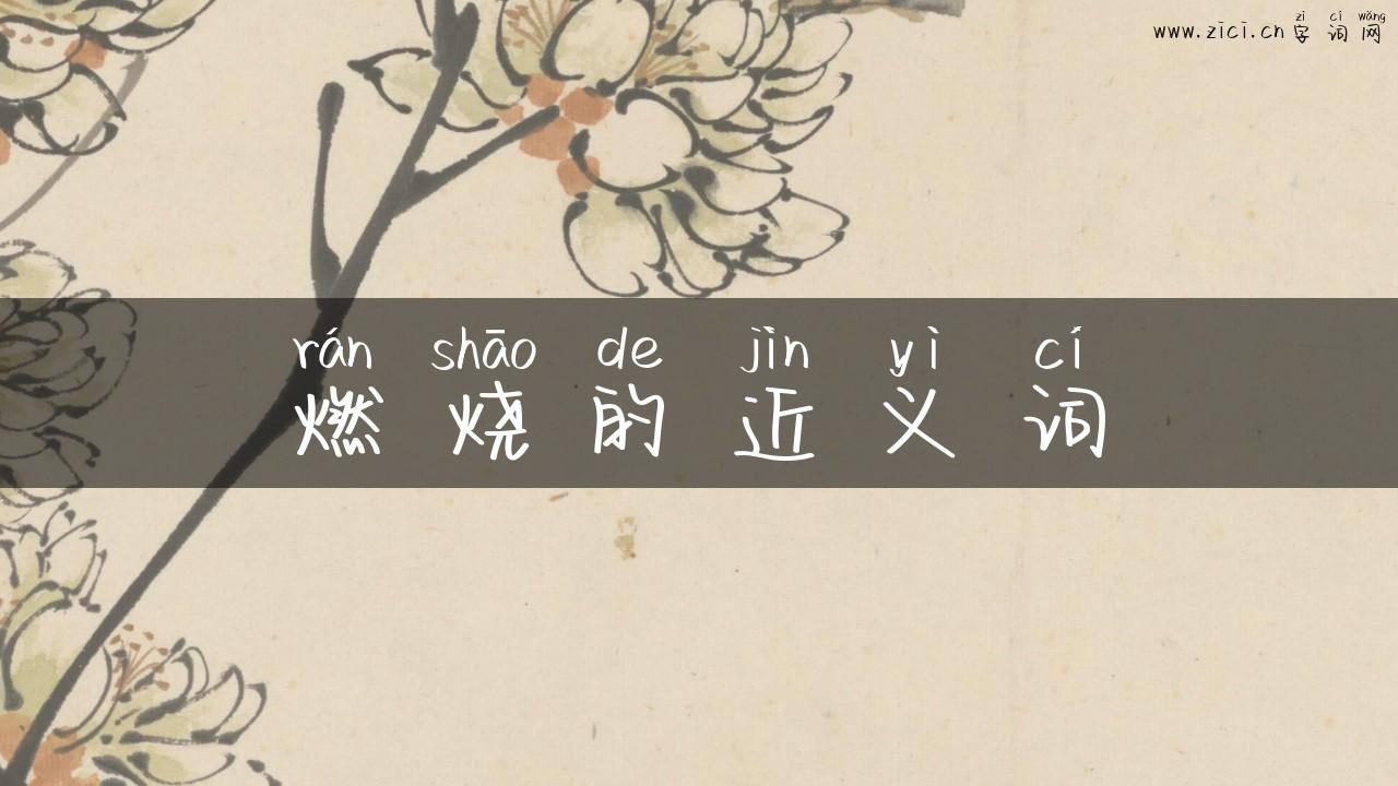 燃烧的近义词