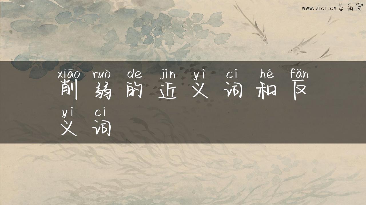 削弱的近义词和反义词