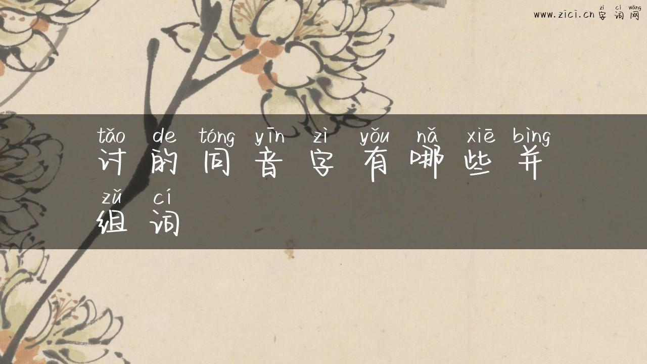 讨的同音字有哪些并组词