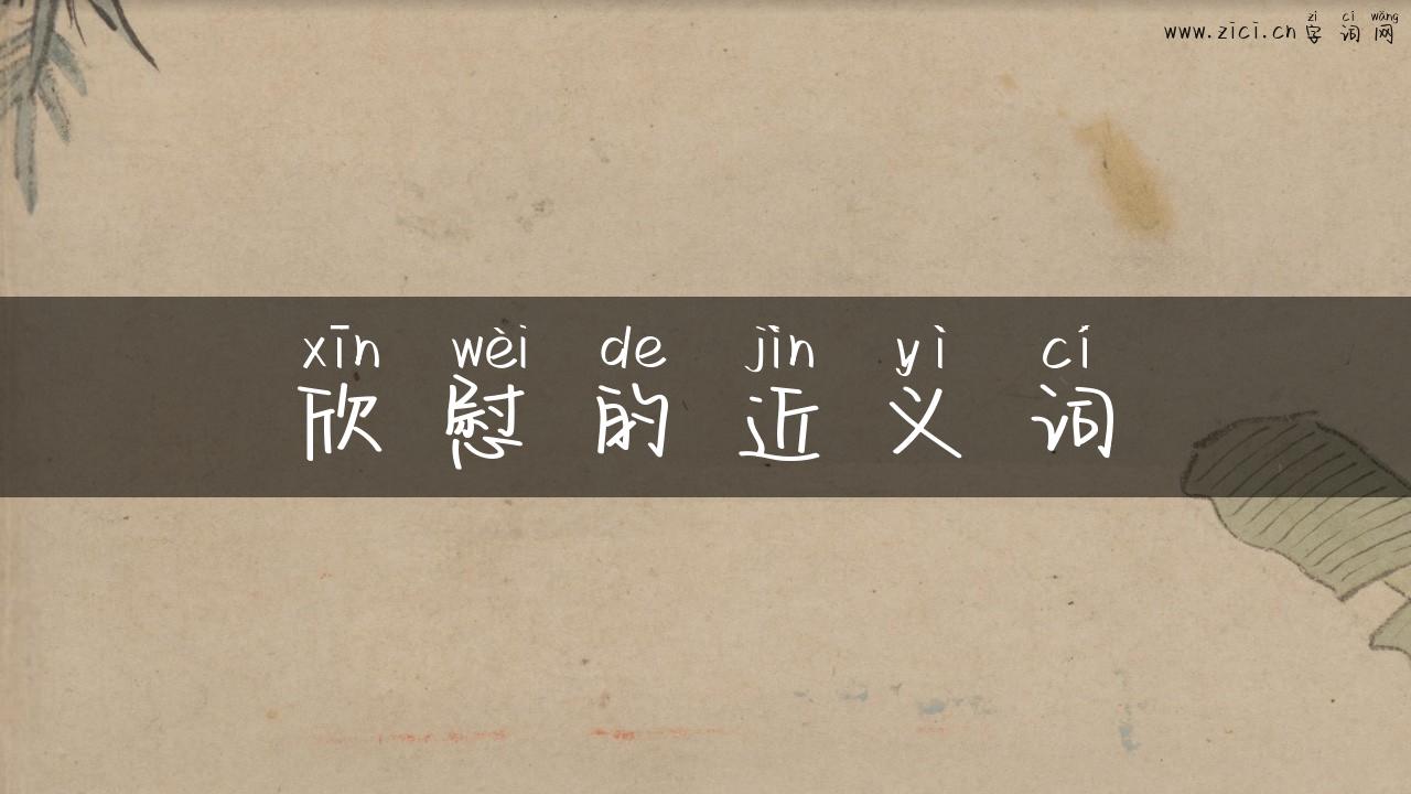 欣慰的近义词