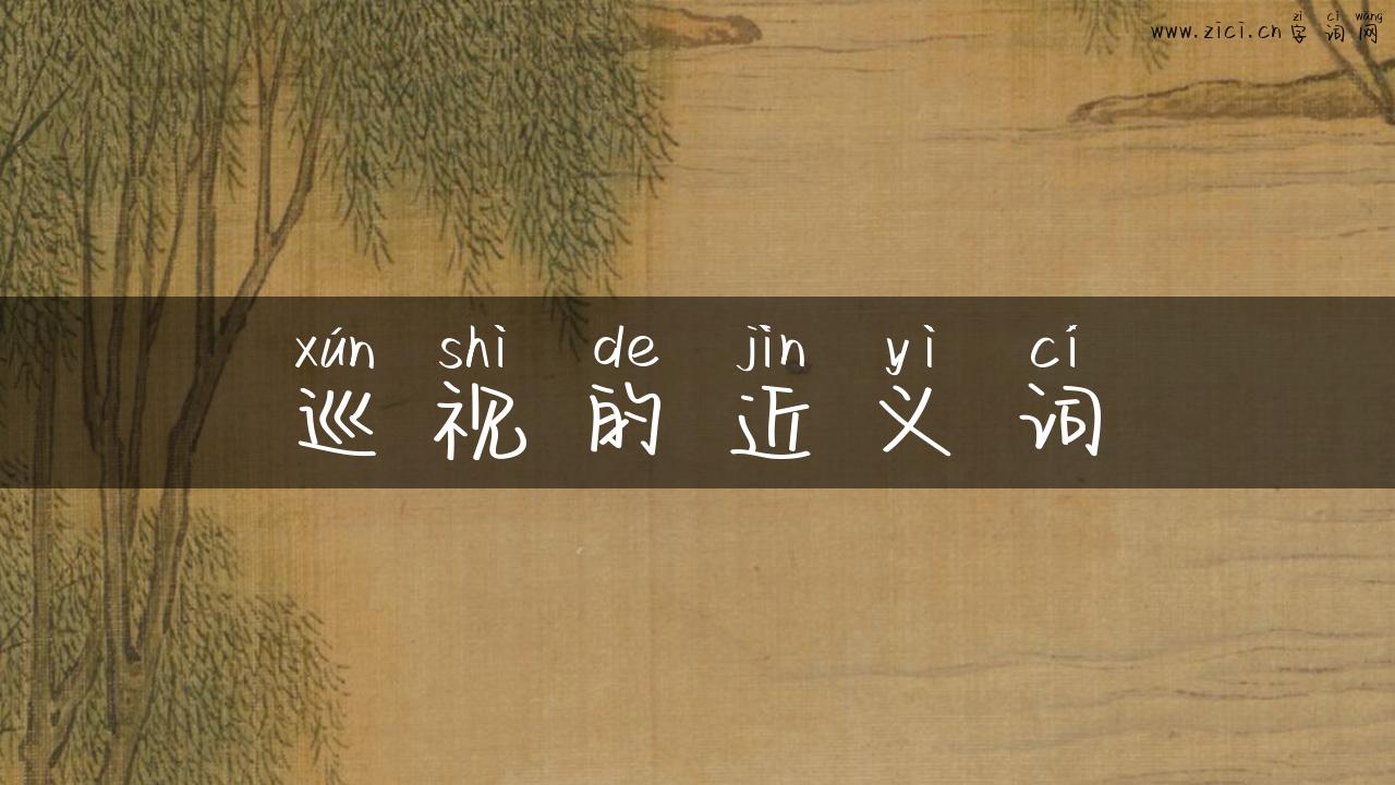 巡视的近义词