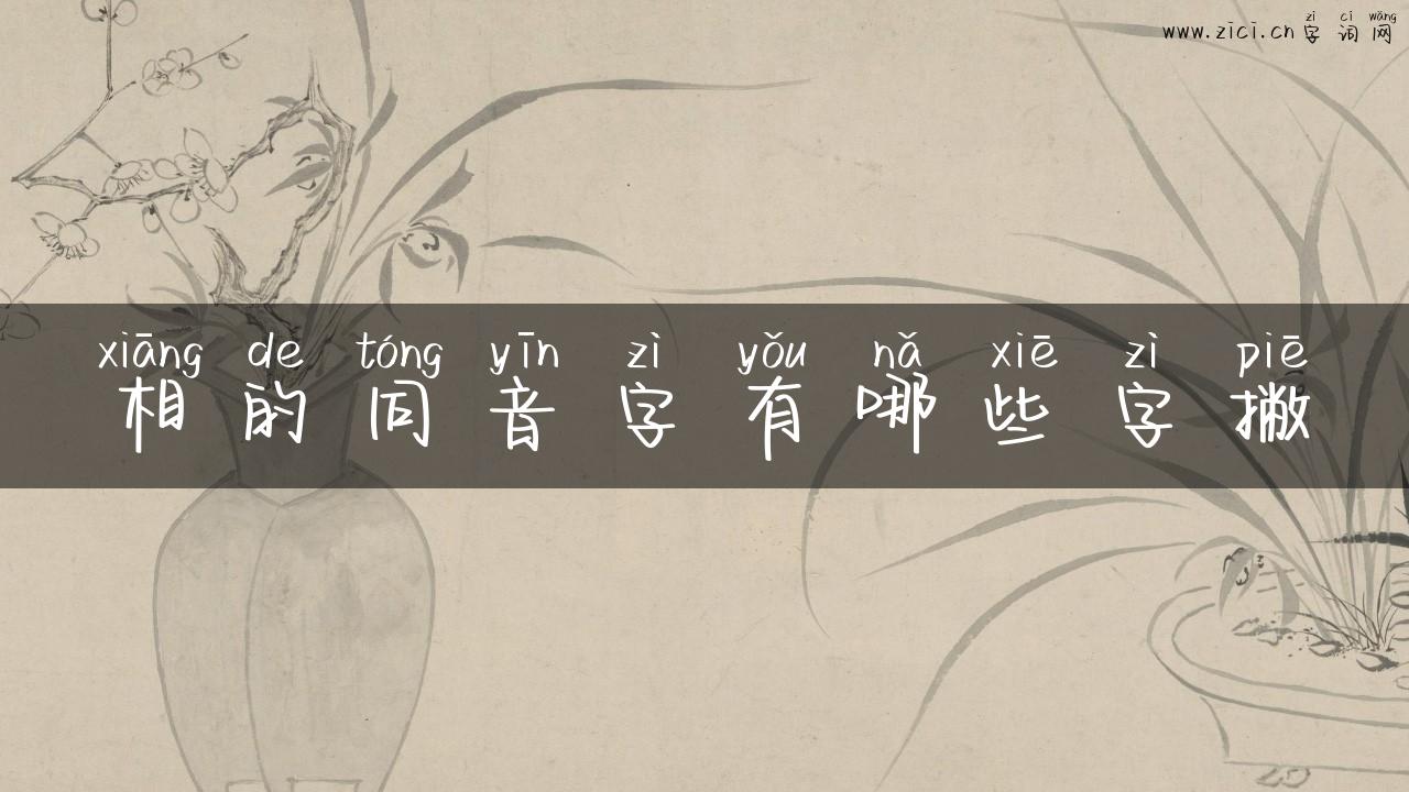 相的同音字有哪些字撇