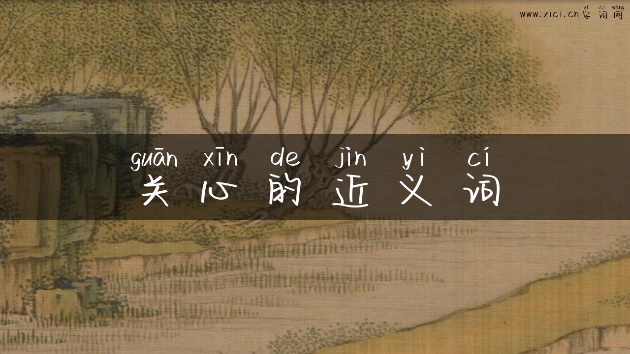 关心的近义词