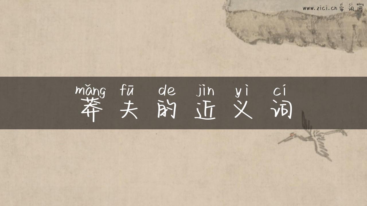 莽夫的近义词
