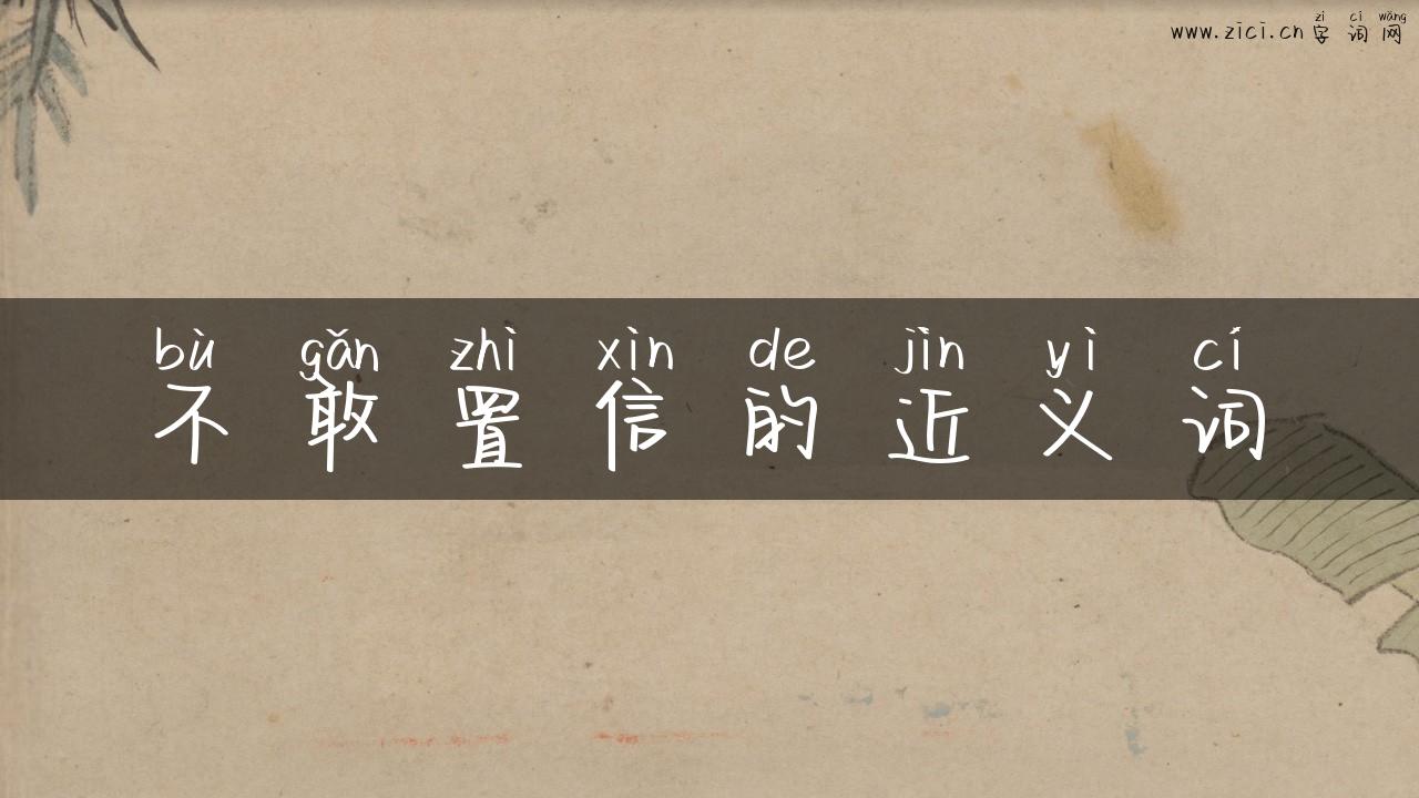 不敢置信的近义词