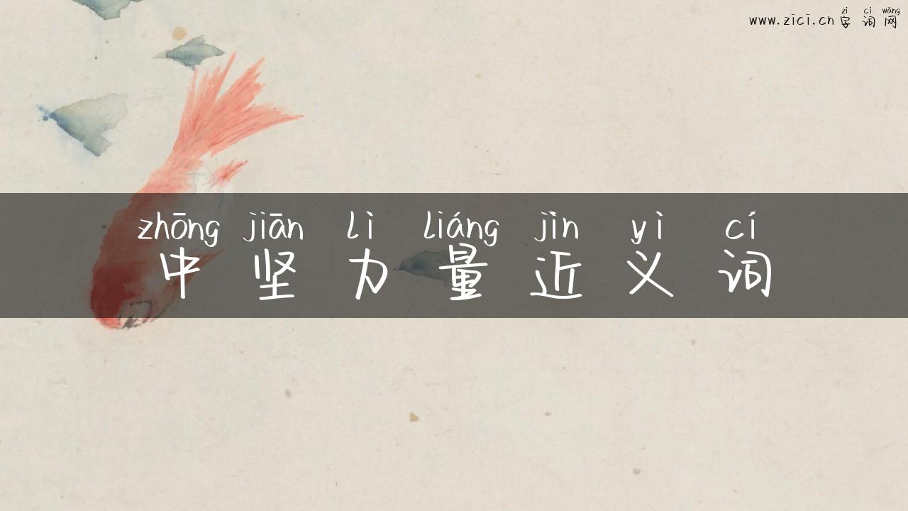 中坚力量近义词