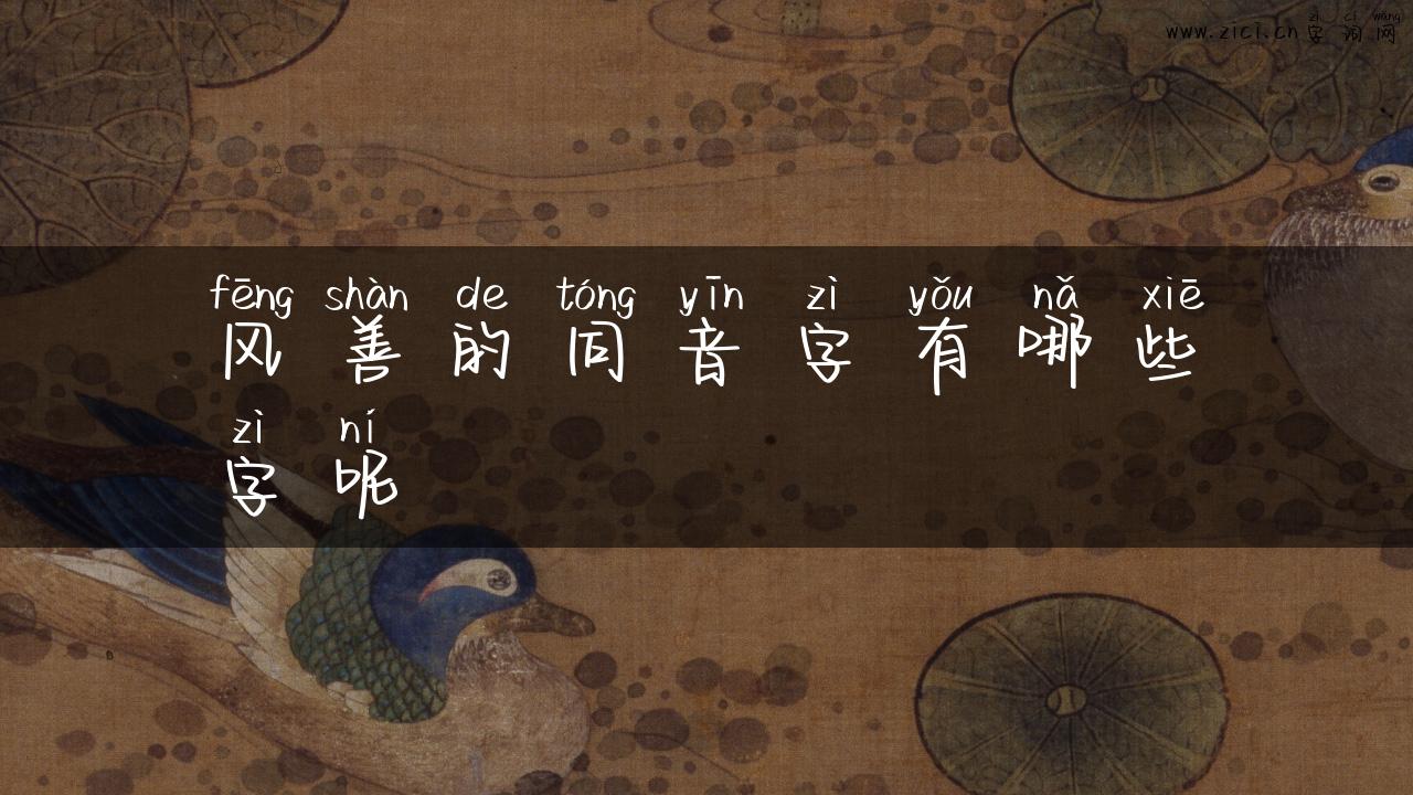 风善的同音字有哪些字呢