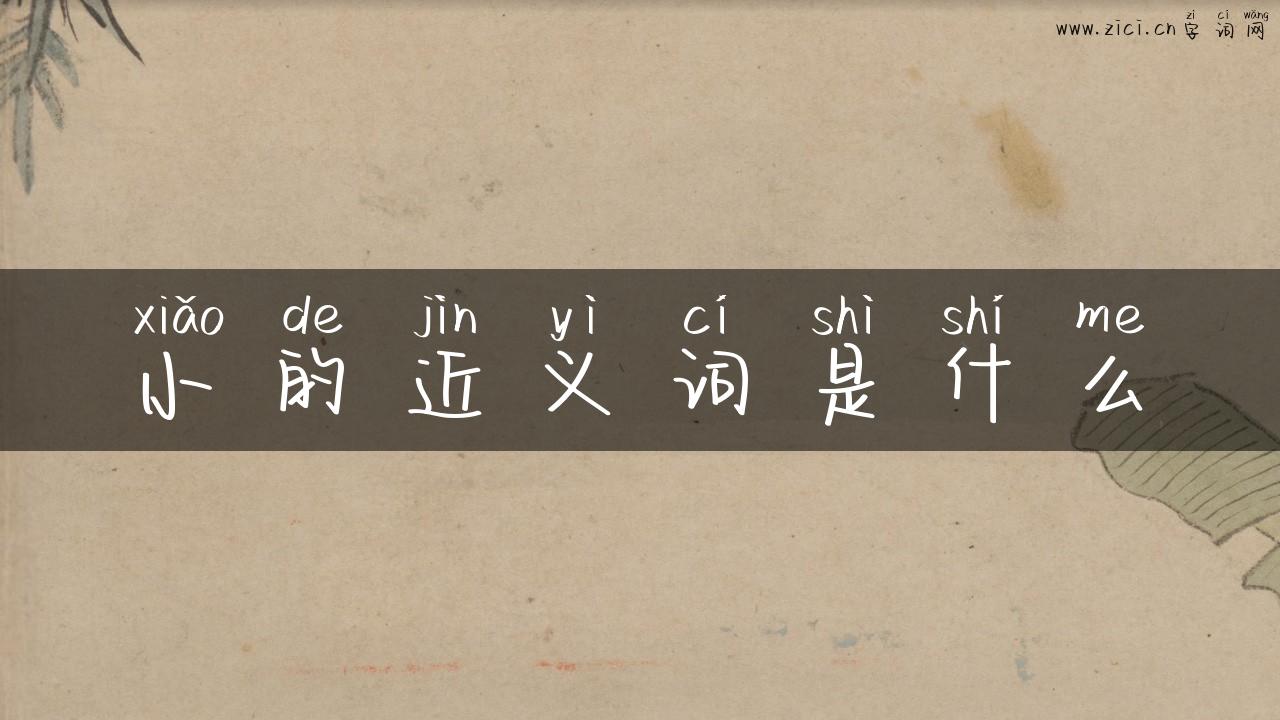 小的近义词是什么