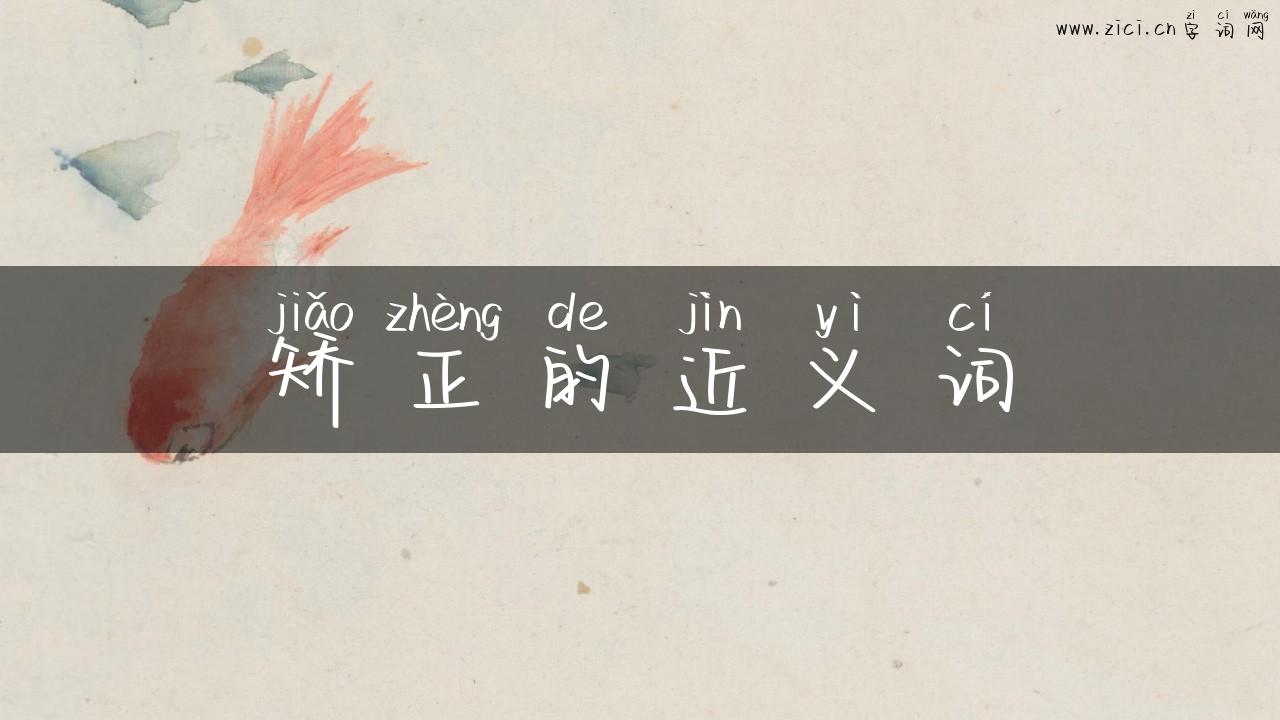 矫正的近义词