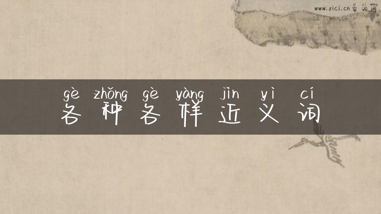 各种各样近义词