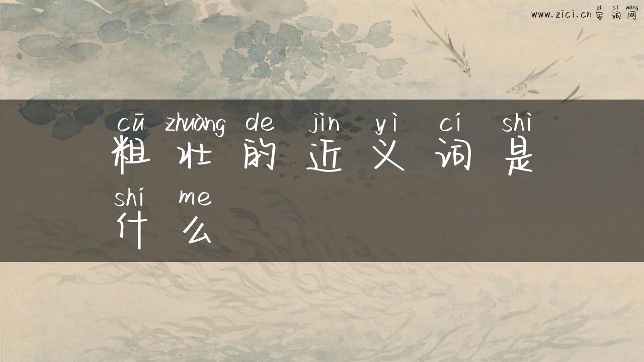 粗壮的近义词是什么