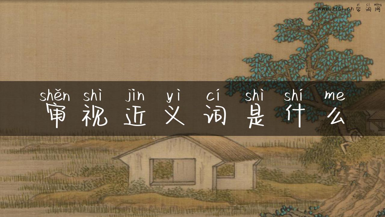 审视近义词是什么