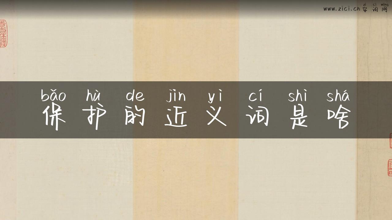 保护的近义词是啥