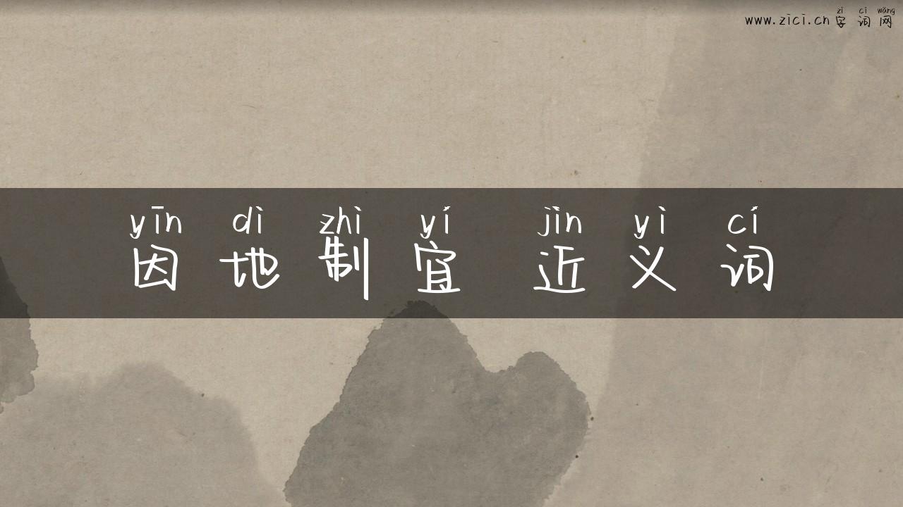 因地制宜 近义词