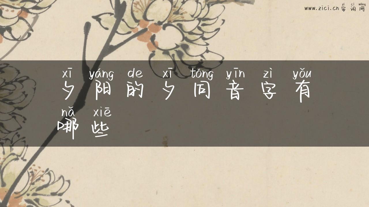 夕阳的夕同音字有哪些
