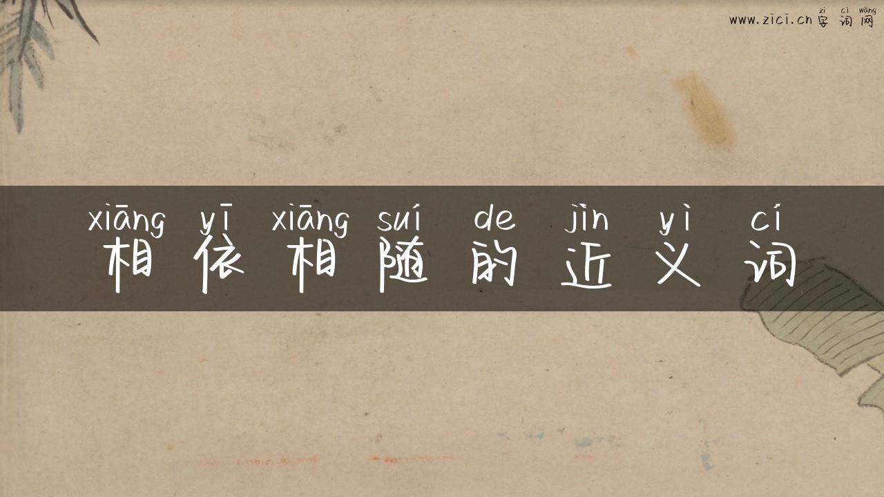 相依相随的近义词