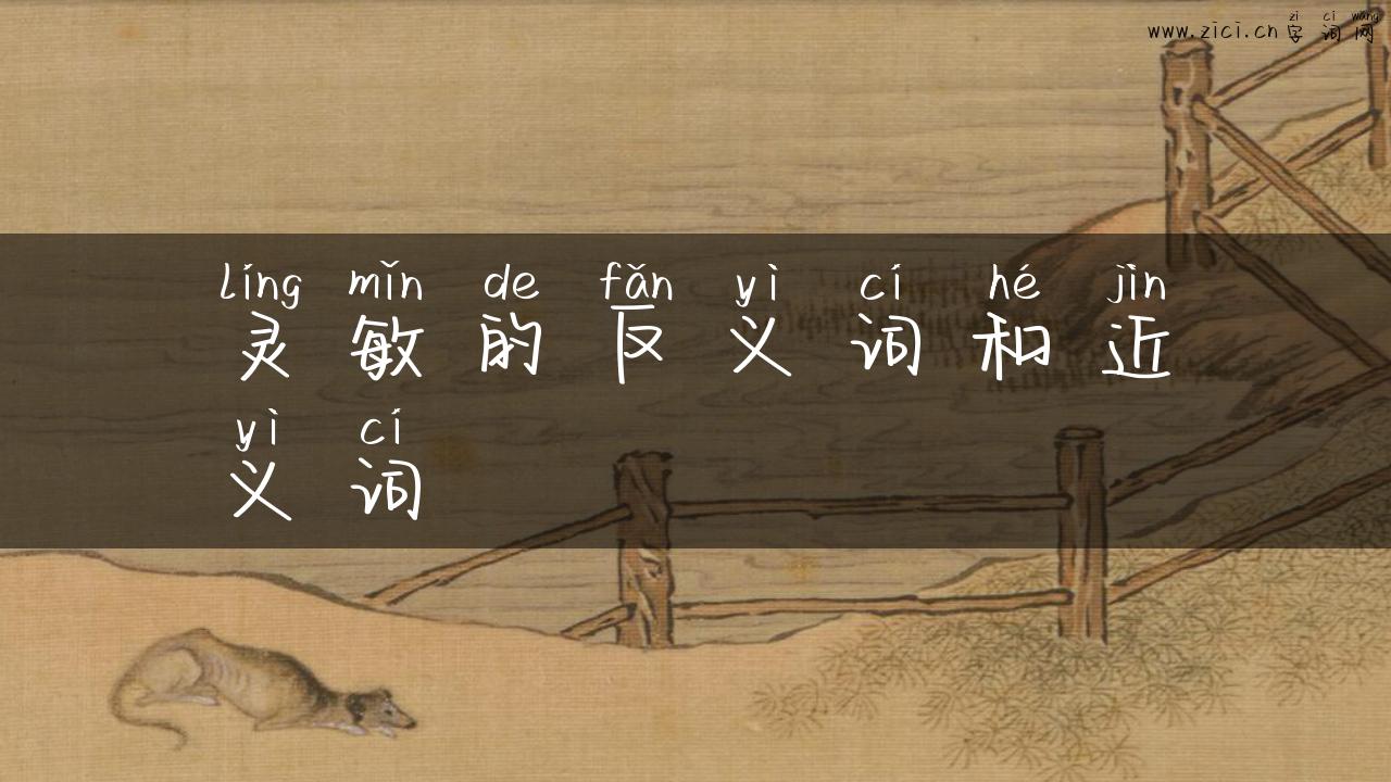 灵敏的反义词和近义词