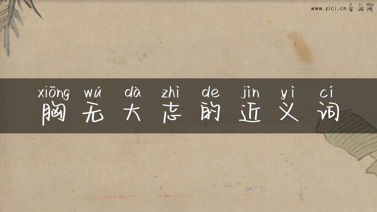 胸无大志的近义词