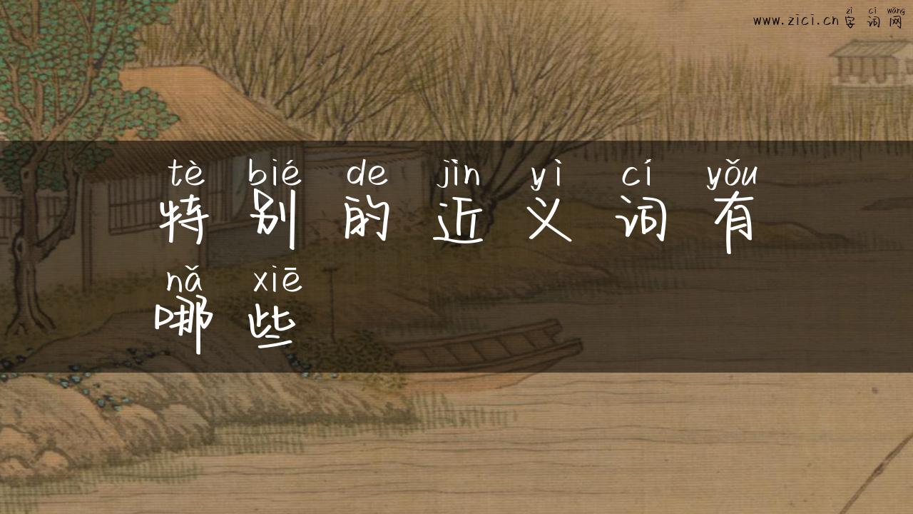 特别的近义词有哪些