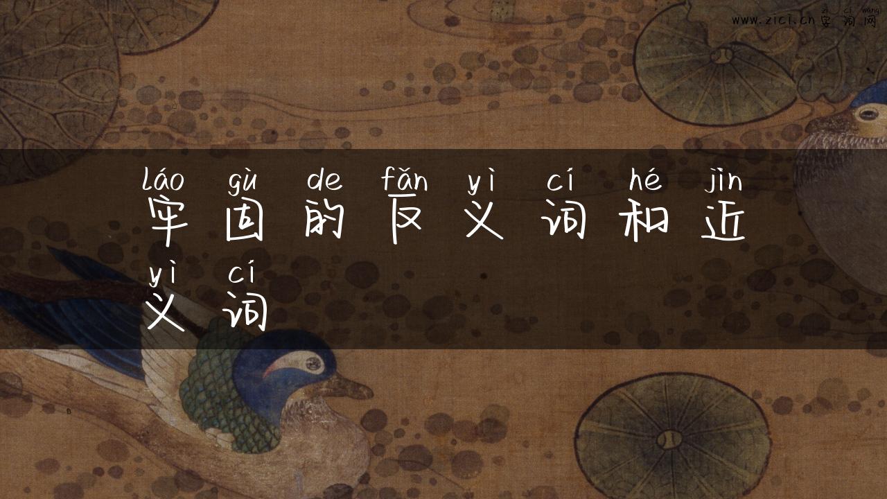 牢固的反义词和近义词