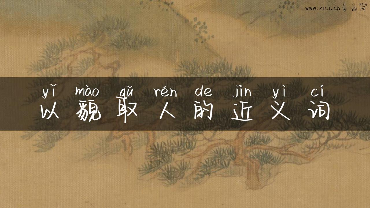 以貌取人的近义词