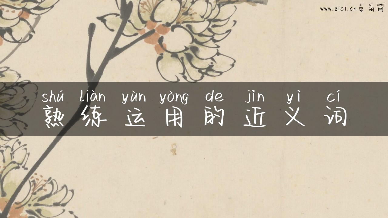 熟练运用的近义词