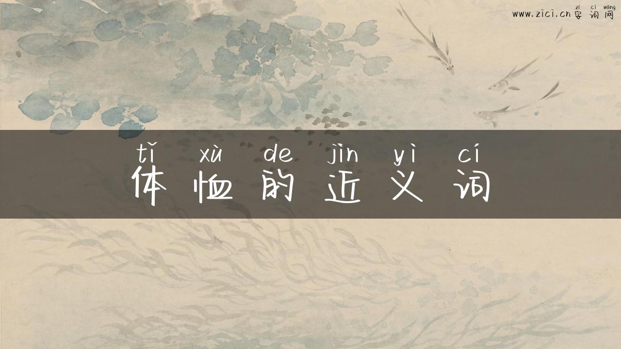 体恤的近义词