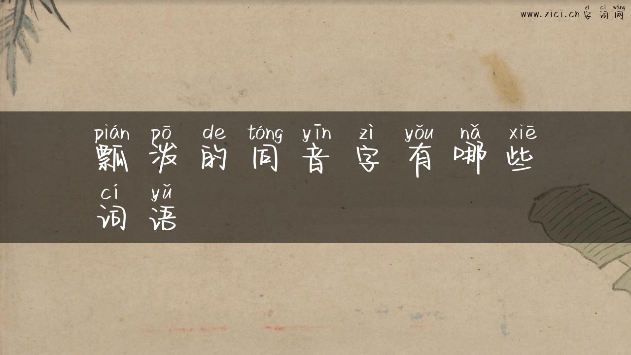 瓢泼的同音字有哪些词语
