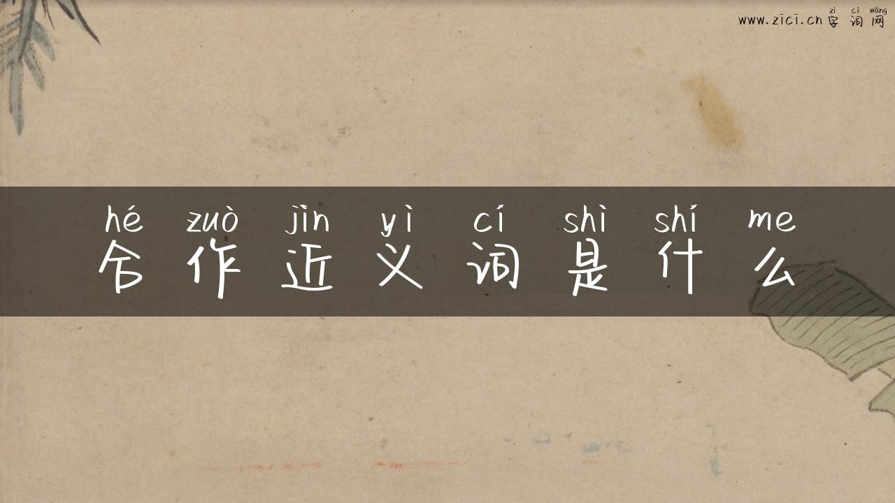 合作近义词是什么