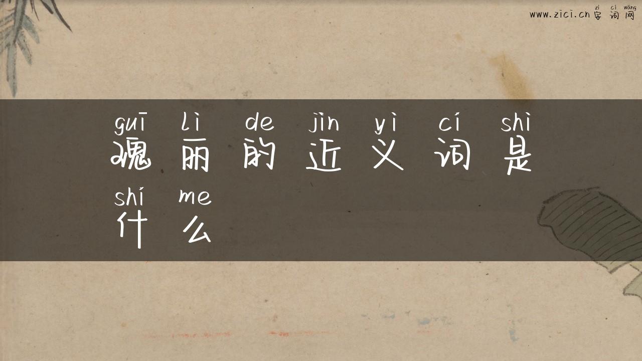 瑰丽的近义词是什么