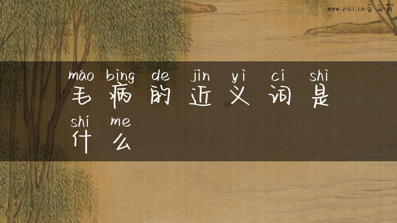 毛病的近义词是什么