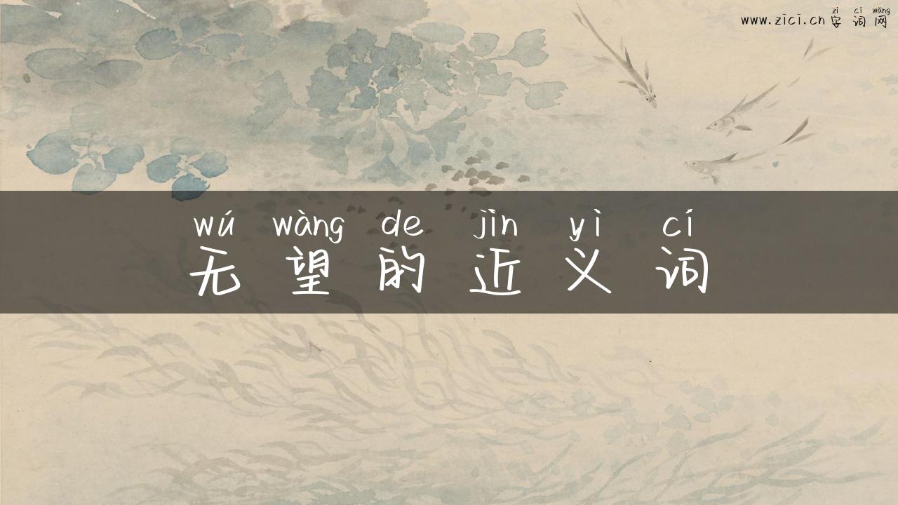 无望的近义词