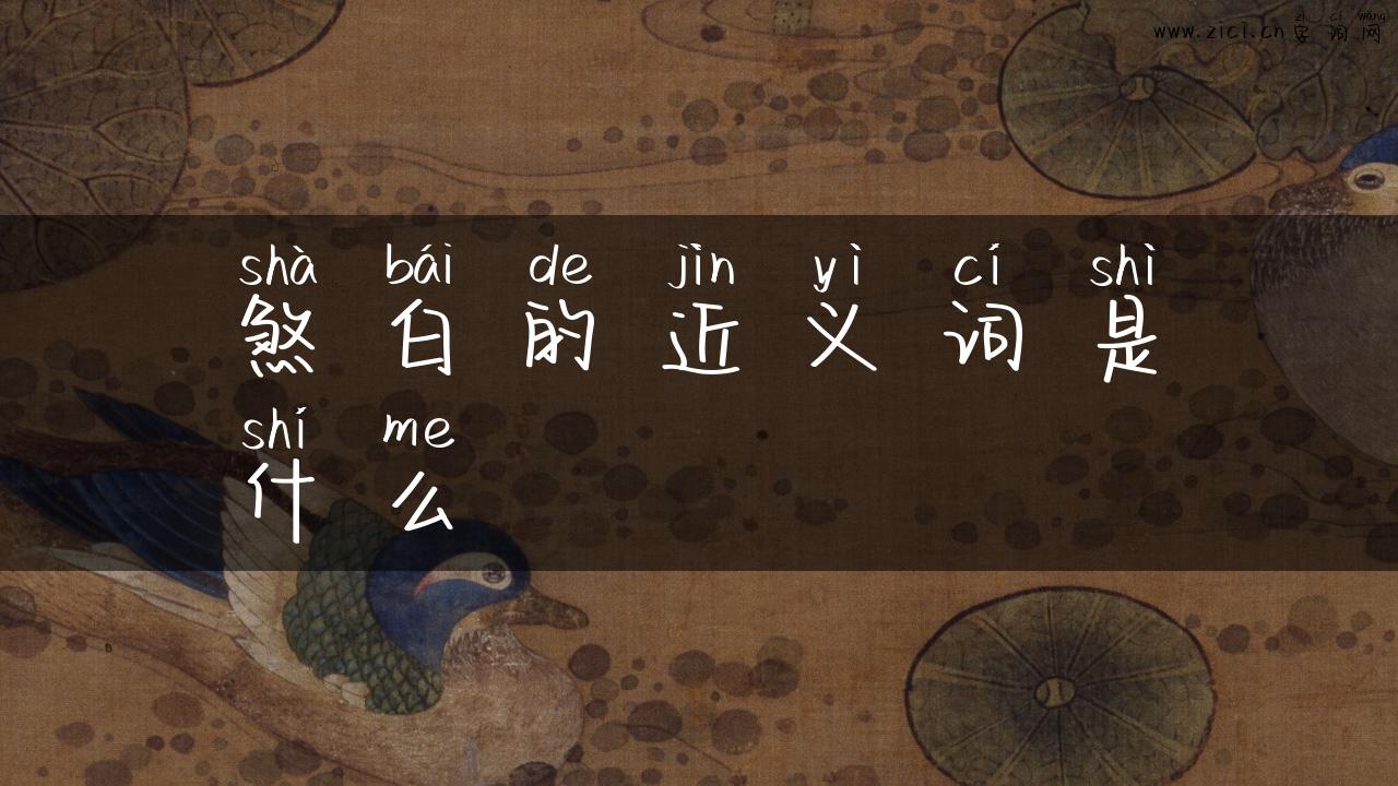 煞白的近义词是什么