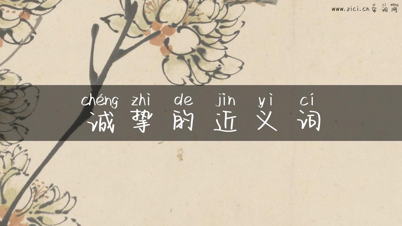 诚挚的近义词