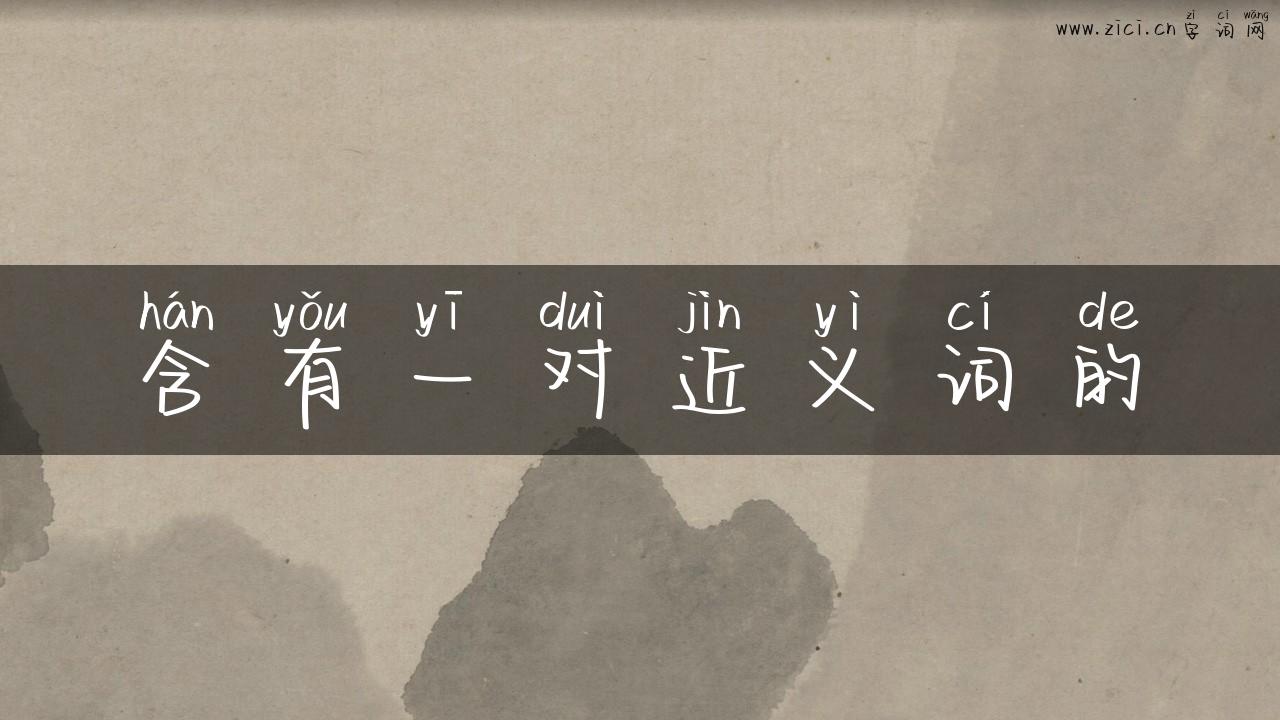 含有一对近义词的