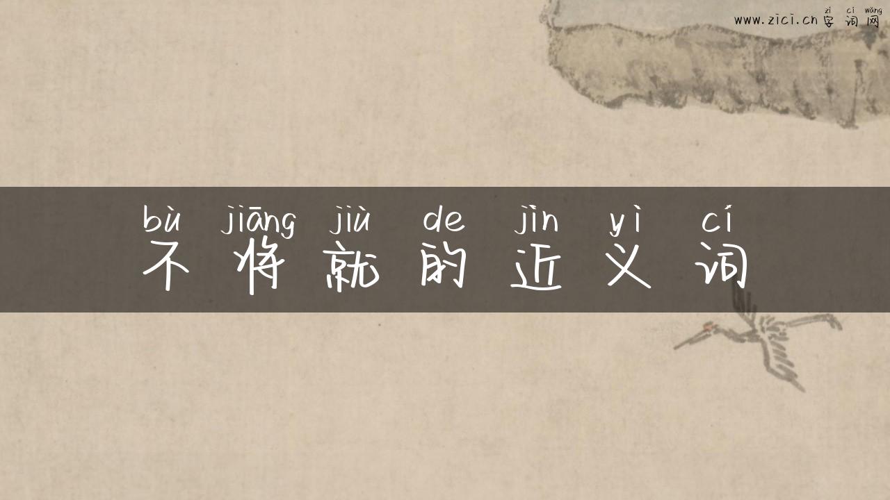 不将就的近义词