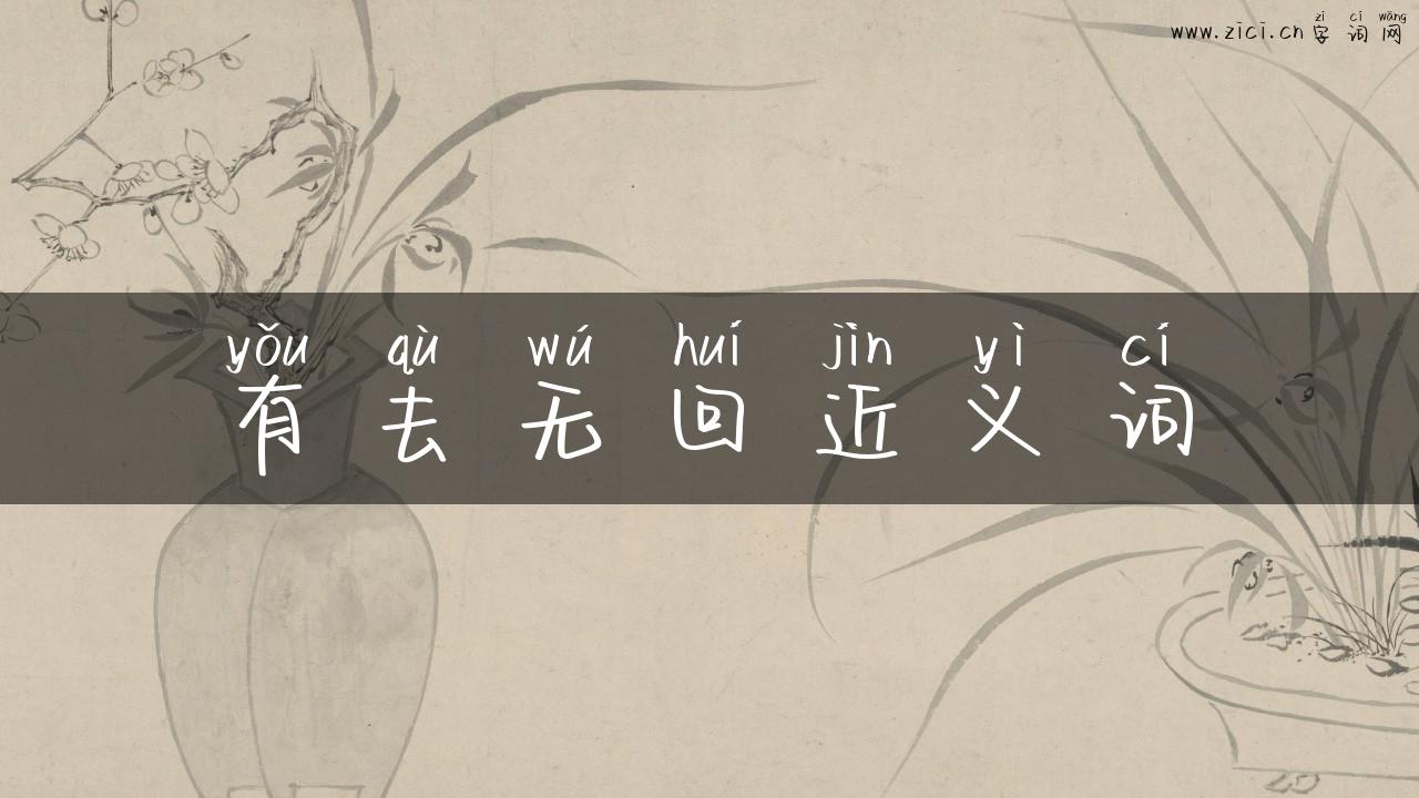 有去无回近义词