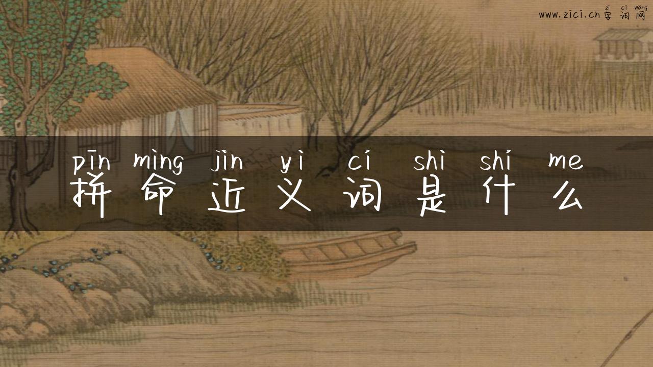 拼命近义词是什么