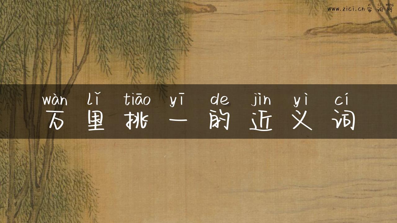万里挑一的近义词