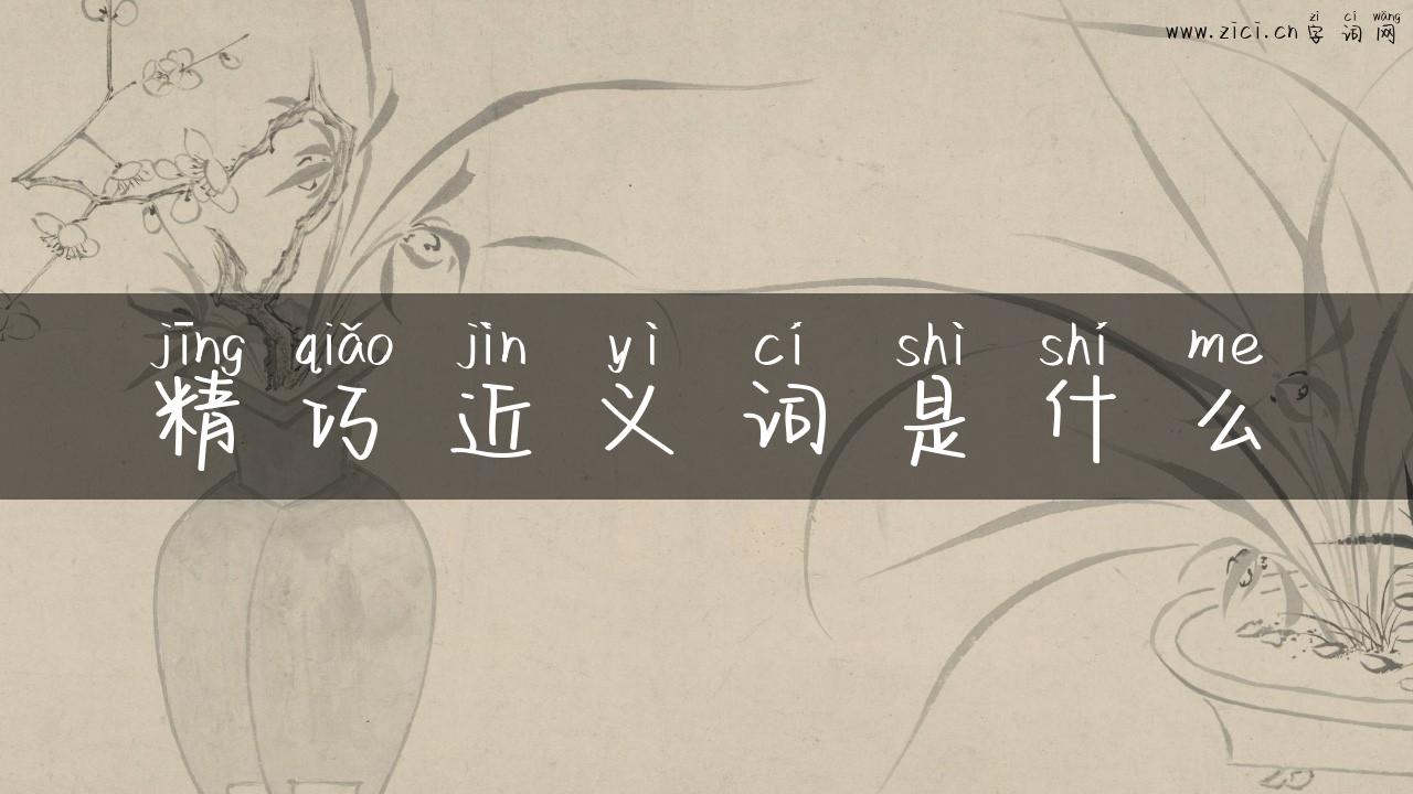 精巧近义词是什么