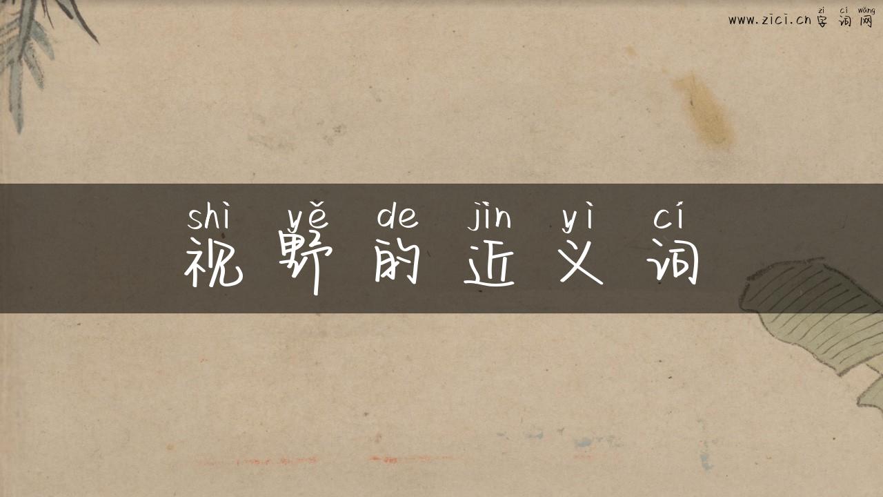视野的近义词