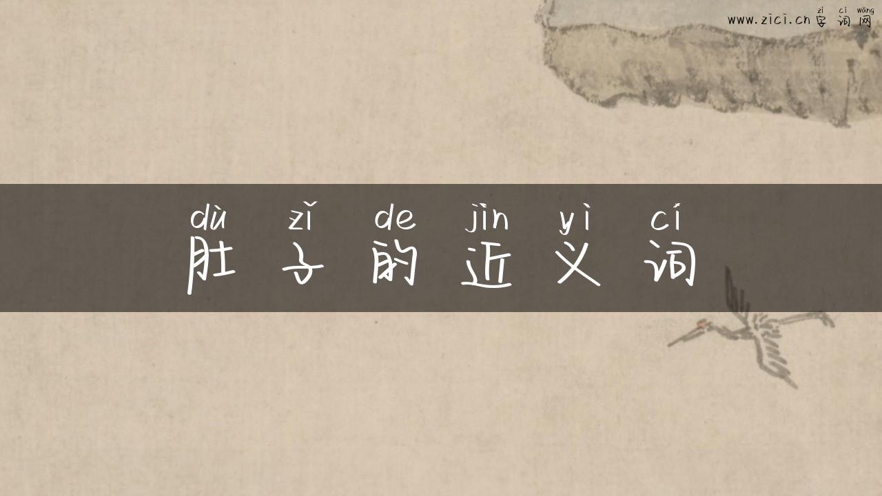 肚子的近义词