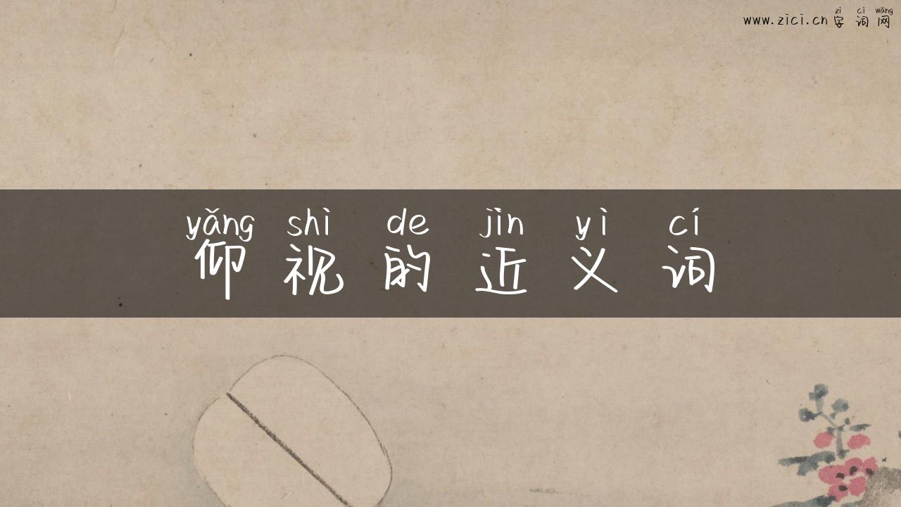 仰视的近义词