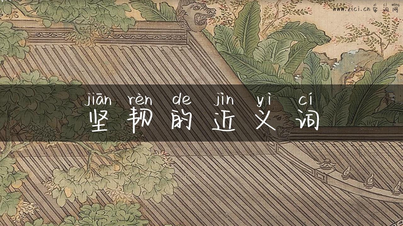 坚韧的近义词