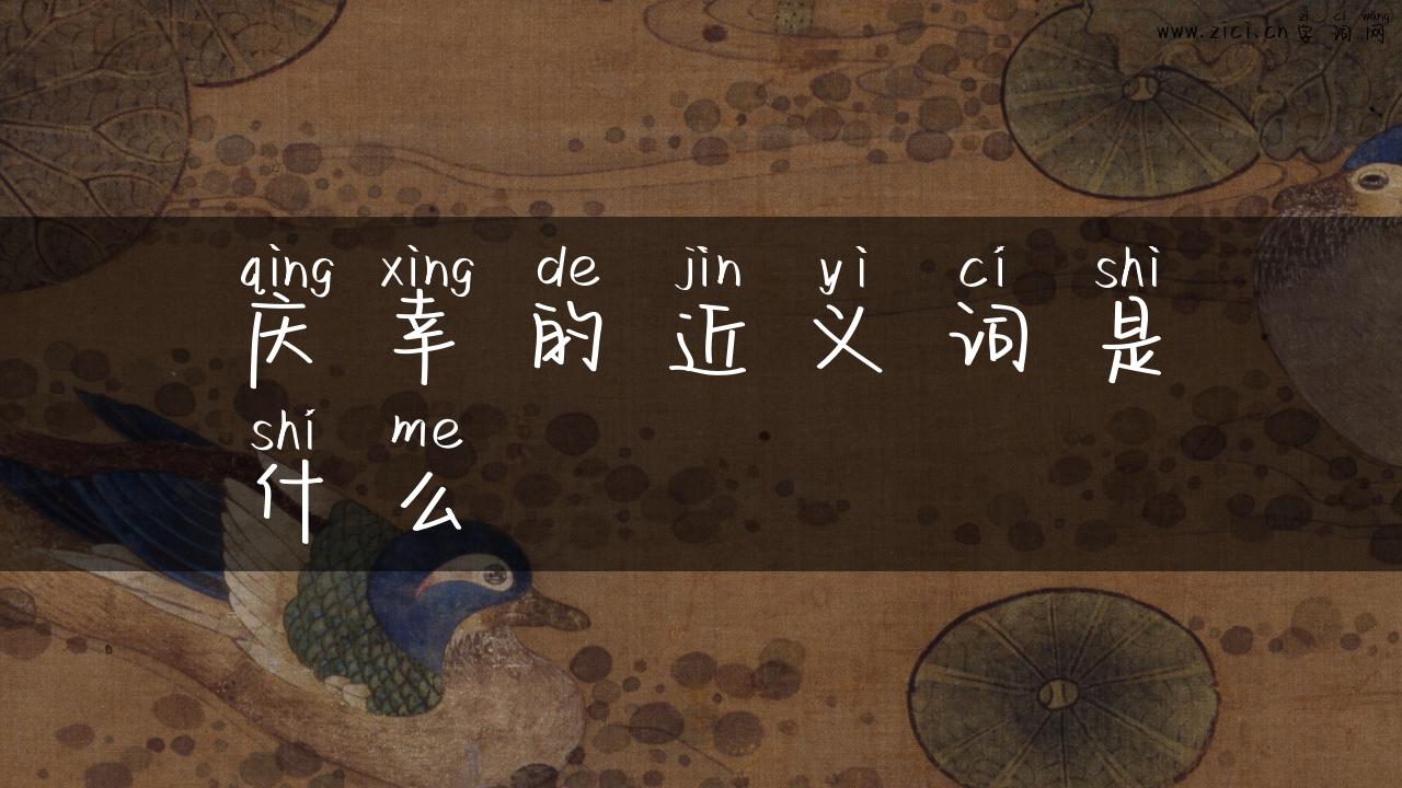 庆幸的近义词是什么