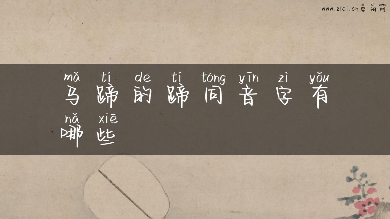 马蹄的蹄同音字有哪些