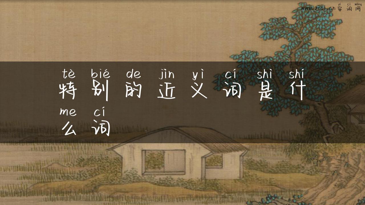 特别的近义词是什么词