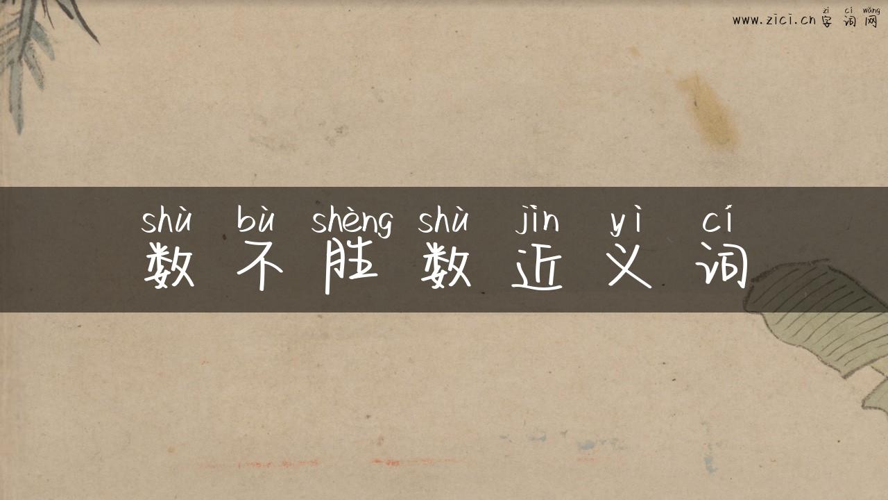 数不胜数近义词
