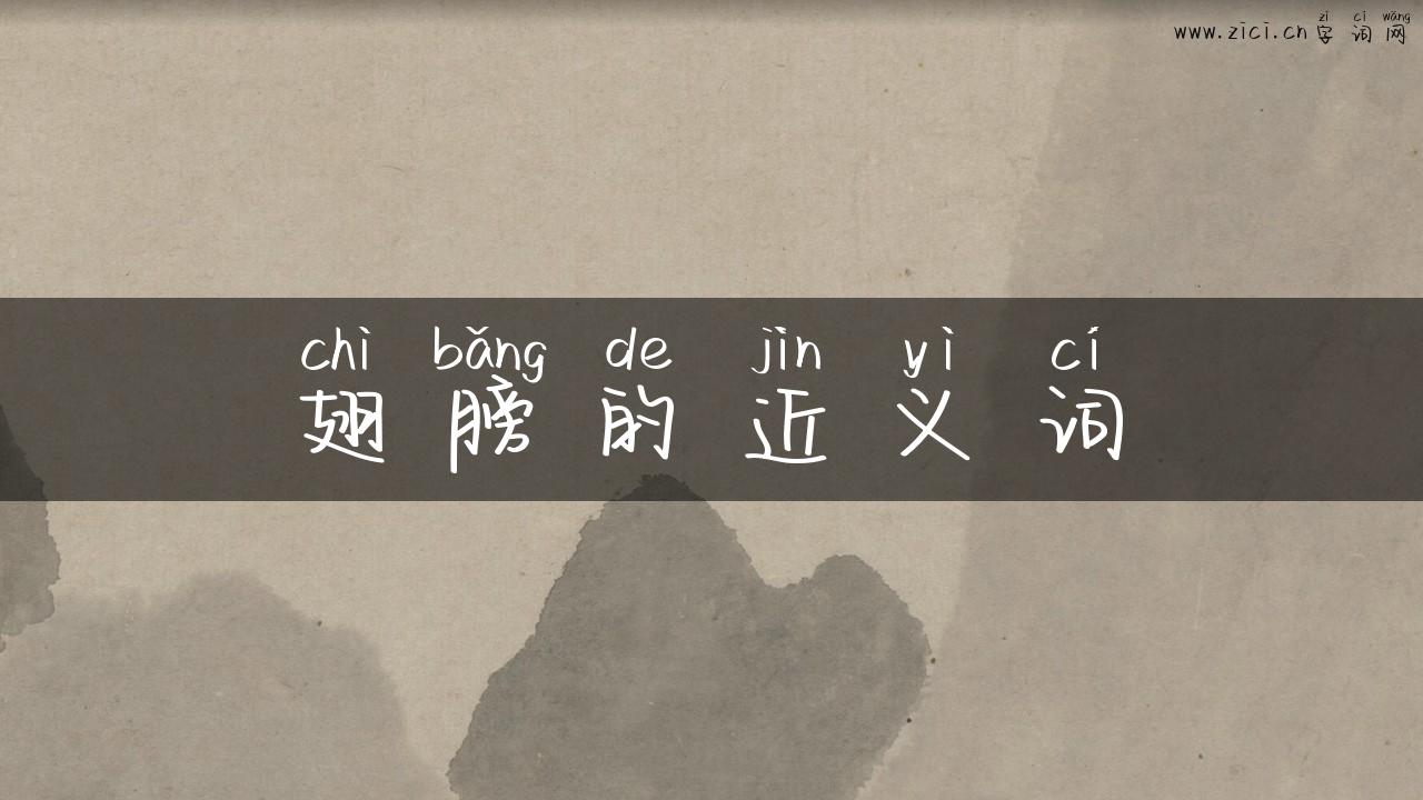 翅膀的近义词