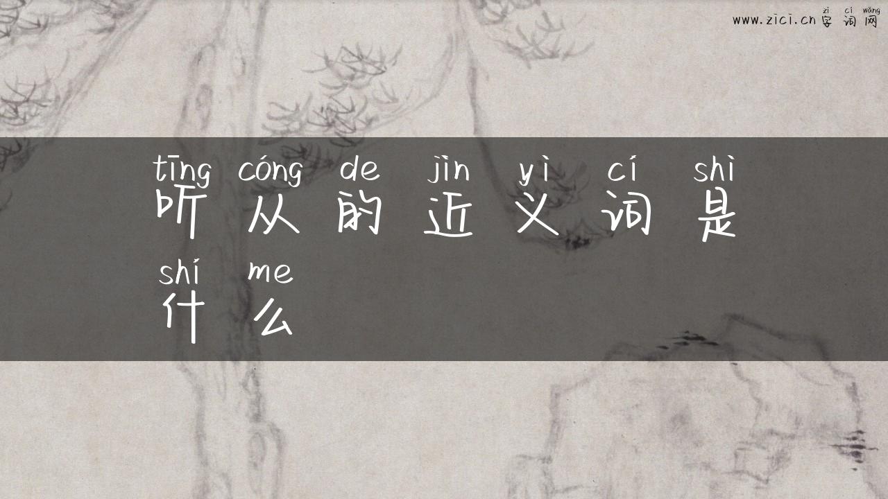 听从的近义词是什么